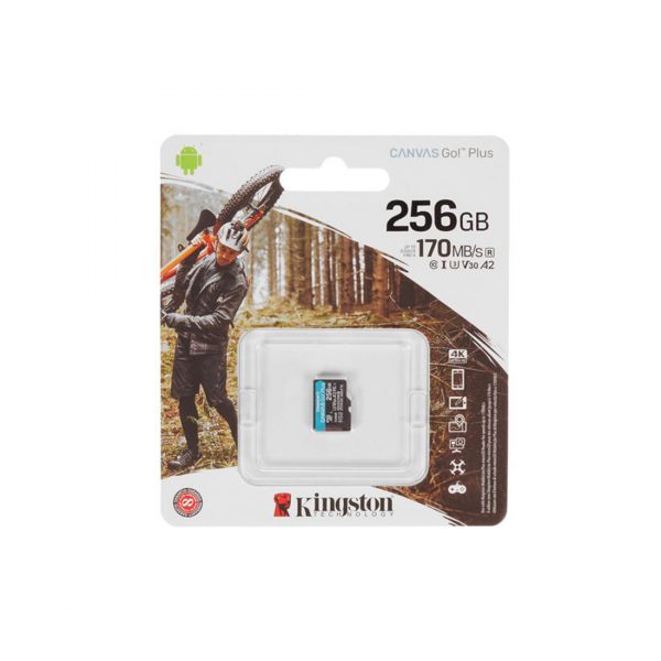 Карта памяти Kingston SDCG3/256GBSP A2 U3 V30 256GB без адаптера