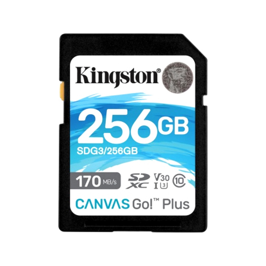 Карта памяти Kingston SDG3/256GB SD 256GB фото 2