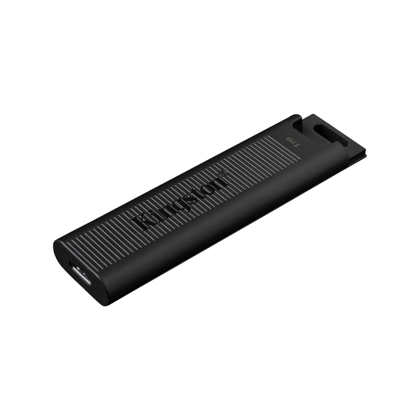 USB-накопитель Kingston DTMAX/256GB 256GB Черный фото 1