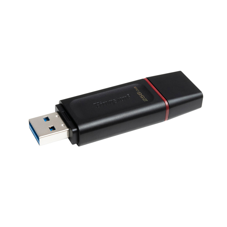 USB-накопитель Kingston DTX/256GB 256GB Чёрный фото 2