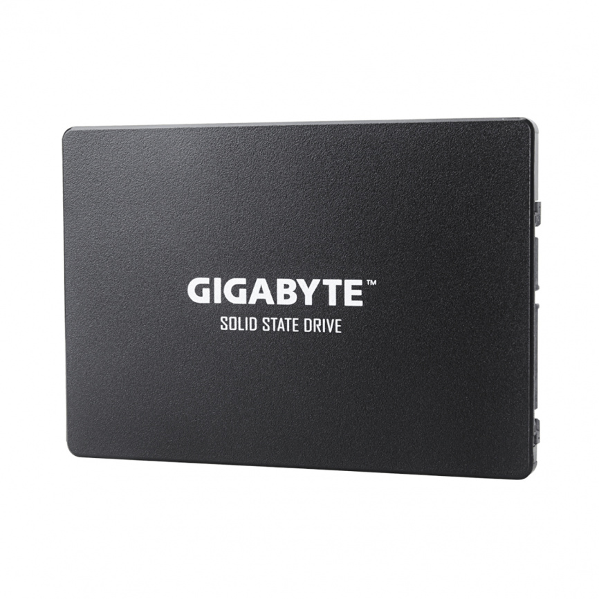 Твердотельный накопитель внутренний Gigabyte GSTFS31256GTND фото 1