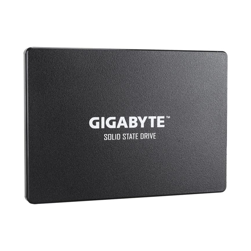 Твердотельный накопитель внутренний Gigabyte GP-GSTFS31100TNTD фото 1