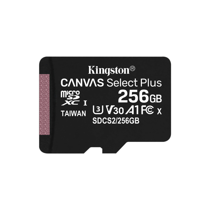 Карта памяти Kingston SDCS2/256GBSP Class 10 256GB без адаптера фото 1