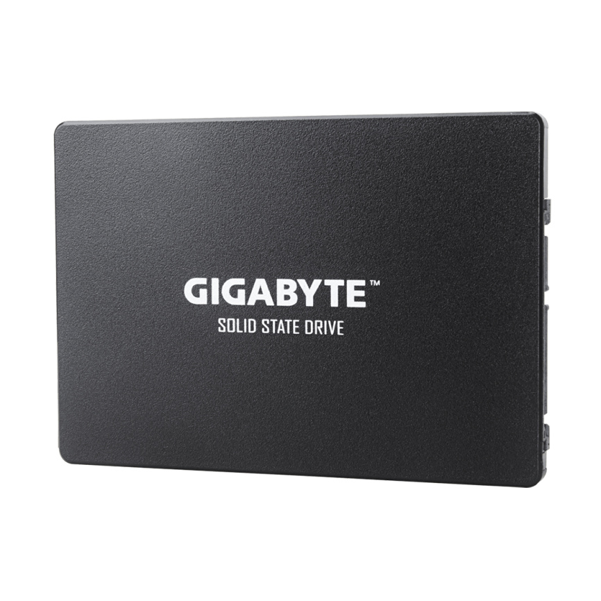Твердотельный накопитель внутренний Gigabyte GP-GSTFS31100TNTD фото 2